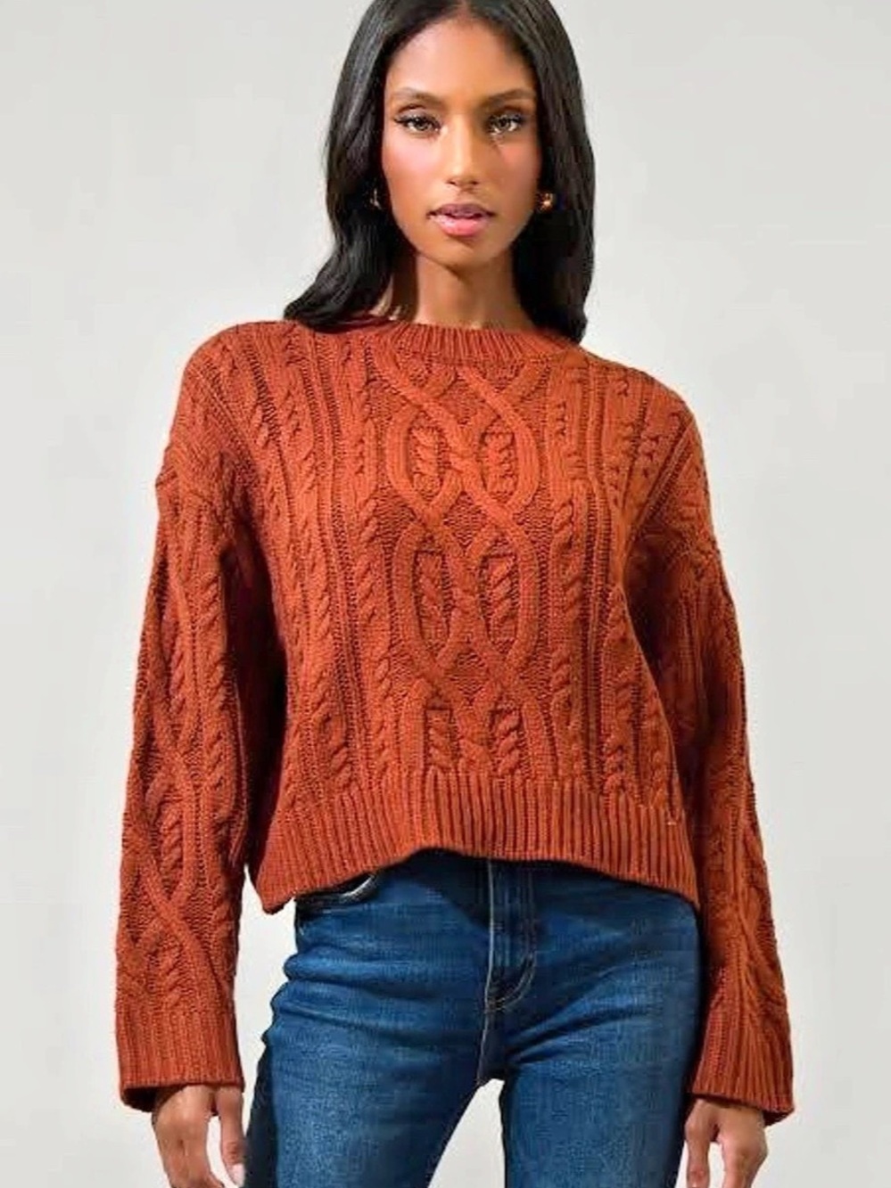 Cable Knit Sweater in Brown burgundy/brown